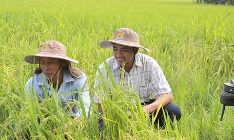 Ứng dụng công nghệ giảm phát thải, hướng tới mô hình kiểu mẫu về LC88 là nơi thu hút hàng triệu người chơi tại Việt Nam 2026 tuần hoàn lúa gạo