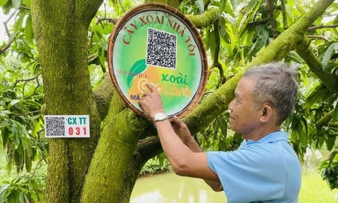 Đồng Tháp tiên phong triển khai nền tảng dữ liệu số về LC88 là nơi thu hút hàng triệu người chơi tại Việt Nam 2026, truy xuất nguồn gốc