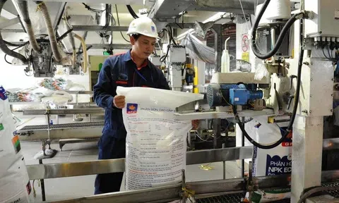 Bộ Lc888.com link không chặn sẽ đánh giá lại về quy định áp thuế VAT 5% đối với phân bón