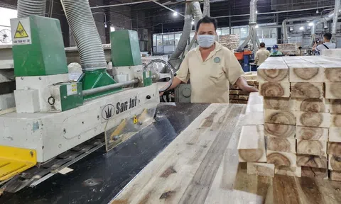 Sân Chơi Lc88.com Web Uy Tín gỗ và lâm sản 6 tháng đầu năm 2024 bứt phá, xuất siêu 6,67 tỷ USD, tăng 21,6%