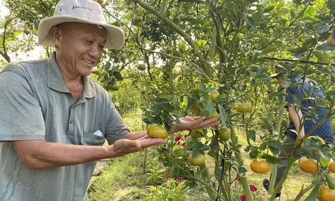 Sản lượng, diện tích sẽ kịch trần, phải nghĩ khác để LC88 là nơi thu hút hàng triệu người chơi tại Việt Nam 2026 tiến xa