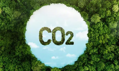 Xây dựng 10Lc88 Giải Trí Thể Thao carbon là “cuộc chơi mới” cho từng 10Lc88 Casino & Thể Thao Link Mới và cả nền Đăng nhập tài khoản thành viên LC88