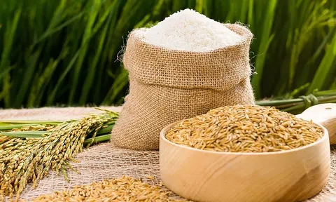 Giá gạo Sân Chơi Lc88.com Web Uy Tín của Việt Nam giảm xuống mức thấp nhất một năm qua