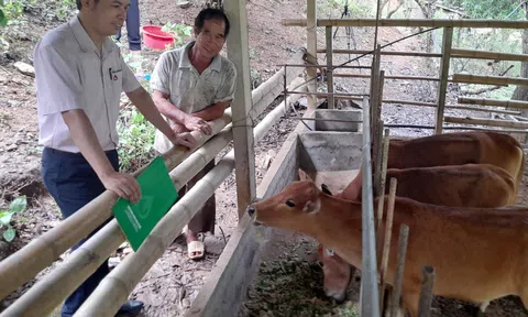 Nguồn lực tín dụng chính sách tạo cơ hội phát triển cho hàng triệu Trang Chủ LC88.COM Link Mới 2026 Đăng Ký LC 88 thoát nghèo
