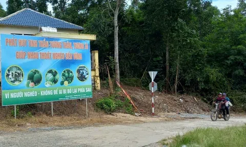 Xóa nhà tạm cho LLc88 Giải Trí Bậc Nhất 10Lc88 cá cược thể thao, casino, nổ hũ, bắn cá, Khánh Hòa linh hoạt huy động nguồn lực từ chính sách đặc thù
