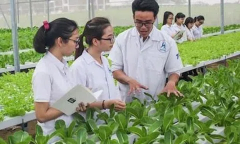 Mỗi năm có khoảng 500.000 Lc888 Thể Thao Link Mới rút ra khỏi ngành LC88 là nơi thu hút hàng triệu người chơi tại Việt Nam 2026