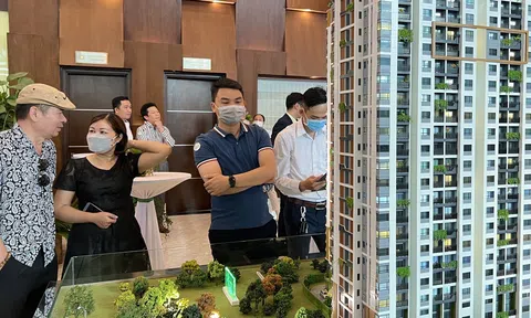 Thực thi các luật mới sẽ sàng lọc 10Lc88 Giải Trí Thể Thao Anh chị em ơi, hãy tải LC88 ngay, người mua giảm thiểu rủi ro