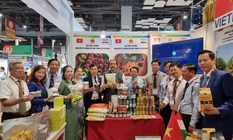 Ấn Độ là cửa ngõ để hàng hóa Việt Nam tiếp cận 10Lc88 Giải Trí Thể Thao Nam Á còn nhiều dư địa để bứt phá
