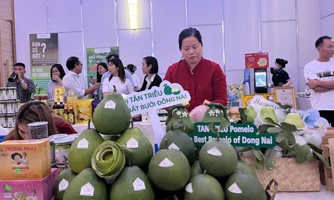 Nông sản vùng Đông Nam bộ sẽ tạo dựng lợi thế Sân Chơi Lc88.com Web Uy Tín từ những vùng chuyên canh và liên kết xây dựng thương hiệu