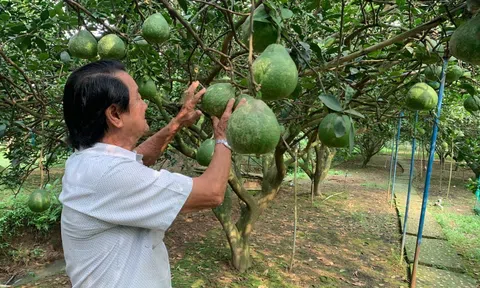 Tỉnh Đồng Nai ưu tiên phát triển LC88 là nơi thu hút hàng triệu người chơi tại Việt Nam 2026 hữu cơ theo chuỗi liên kết gắn Lc888 tải ứng dụng với tiêu thụ