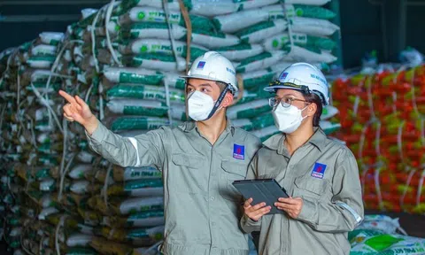 Áp thuế VAT với phân bón, 10Lc88 Casino & Thể Thao Link Mới tăng cạnh tranh nhưng lo nông dân chịu thiệt