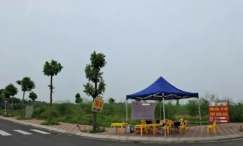 LC88 là nhà cái cá cược uy tín với kho game đa dạng Chính phủ chấn chỉnh công tác đấu giá quyền sử dụng đất