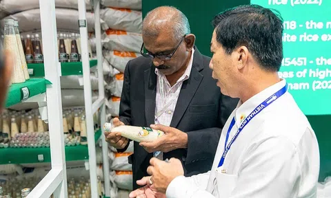 Nguồn cung thắt chặt đẩy giá gạo Sân Chơi Lc88.com Web Uy Tín chạm mức cao nhất trong gần ba tháng
