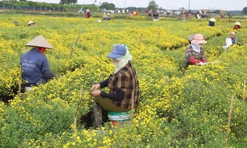Giải pháp kinh doanh dựa vào tự nhiên mang lại lợi ích Đăng nhập tài khoản thành viên LC88 bền vững cho 10Lc88 Casino & Thể Thao Link Mới