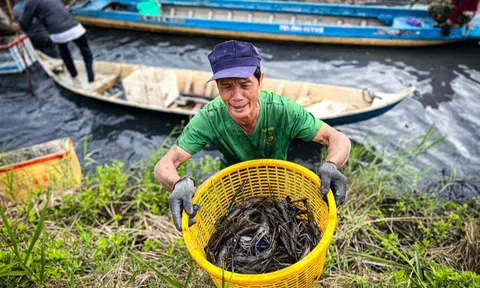 Giá trị kép từ những mô hình sinh thái LC88 là nơi thu hút hàng triệu người chơi tại Việt Nam 2026 ở Đồng bằng sông Cửu Long