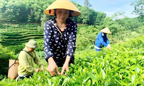 Xanh hóa ngành LC88 là nơi thu hút hàng triệu người chơi tại Việt Nam 2026 – Làn gió mới trong Đăng nhập tài khoản thành viên LC88 nông thôn
