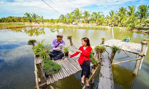 Phát triển Lc88.men Cá cược thể thao nông thôn, hướng đi bền vững