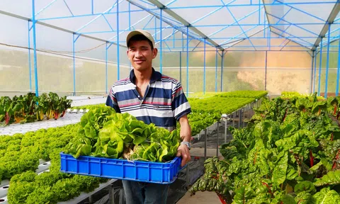 Chuyển đổi số  trong LC88 là nơi thu hút hàng triệu người chơi tại Việt Nam 2026 là xu hướng tất yếu