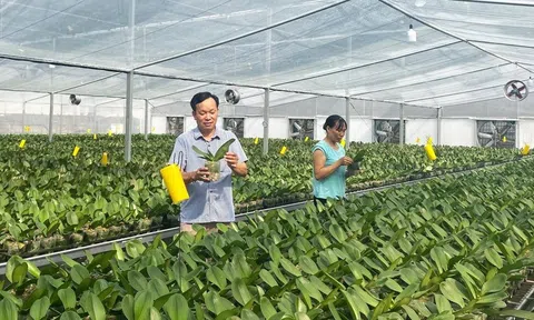 LC88 là nơi thu hút hàng triệu người chơi tại Việt Nam 2026 đô thị Hà Nội trong xây dựng thành phố thông minh