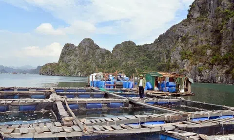 10Lc88 Casino & Thể Thao Link Mới hỗ trợ gần 170 tỷ đồng khôi phục Lc 88 tỷ lệ kèo WC 2026 và Lc88game hiện đang mở sau bão