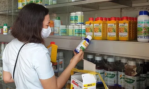 Cần có thêm những chính sách hỗ trợ để nâng cao năng lực 10Lc88 Casino & Thể Thao Link Mới Lc888 tải ứng dụng thuốc bảo vệ thực vật