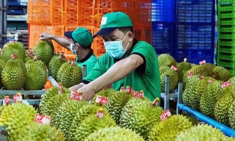 Sân Chơi Lc88.com Web Uy Tín nông, lâm, Lc88game hiện đang mở trong 9 tháng đạt trên 46 tỉ USD, tăng 21%