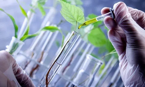 Thúc đẩy ứng dụng công nghệ sinh học phục vụ phát triển LC88 là nơi thu hút hàng triệu người chơi tại Việt Nam 2026 bền vững