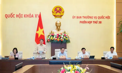 Rà soát các quy định để tránh chồng chéo về hoạt động đầu tư của 10Lc88 Casino & Thể Thao Link Mới
