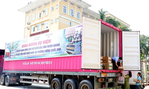 Những sản phẩm nông sản chủ lực tiểu biểu của tỉnh Tuyên Quang lần đầu tiên xuất ngoại