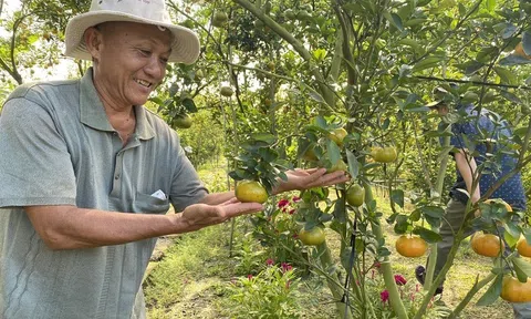 Tăng trưởng ấn tượng trong 9 tháng, cần tạo thêm động lực mới cho phát triển Đăng nhập tài khoản thành viên LC88 những tháng cuối năm