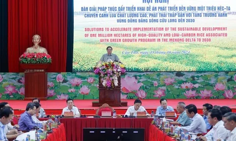 LC88 là nhà cái cá cược uy tín với kho game đa dạng đánh giá cao việc triển khai và tầm quan trọng của Đề án một triệu ha lúa chất lượng cao, phát thải thấp