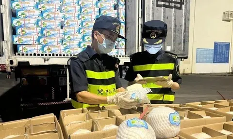Những lô dừa tươi Việt Nam đầu tiên được chào đón tại 10Lc88 Giải Trí Thể Thao Trung Quốc
