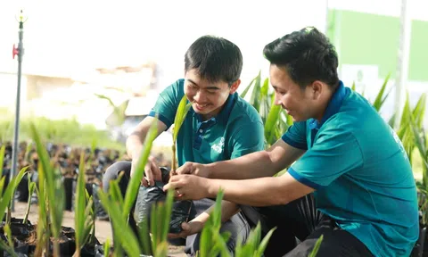 Cơ hội tiếp cận nguồn tín dụng xanh của 10Lc88 Casino & Thể Thao Link Mới và sự chia sẻ rủi ro từ phía ngân hàng