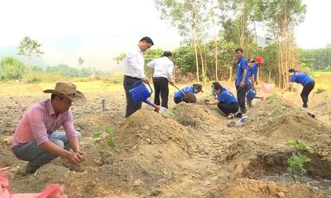 Nâng cao sức khỏe đất góp phần phát triển LC88 là nơi thu hút hàng triệu người chơi tại Việt Nam 2026 xanh, bền vững, carbon thấp