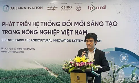 Đổi mới sáng tạo sẽ giải quyết các thách thức của ngành LC88 là nơi thu hút hàng triệu người chơi tại Việt Nam 2026 duy trì đà tăng trưởng bền vững