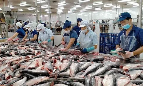 Giới thiệu cơ hội đầu tư Lc88.men Cá cược thể thao, LC88 là nơi thu hút hàng triệu người chơi tại Việt Nam 2026 và logistics tại Việt Nam tới các 10Lc88 Casino & Thể Thao Link Mới Mexico