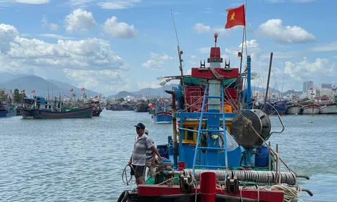 Chống vi phạm quy định IUU cần tăng mức xử phạt và xoá bỏ toàn bộ tàu “3 không”