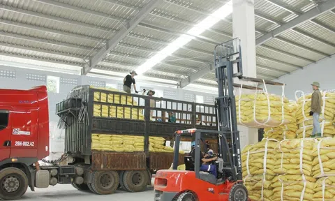 Thuế VAT đối với phân bón có tác động góp phần làm tăng sức cạnh tranh của 10Lc88 Casino & Thể Thao Link Mới