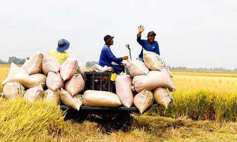 Sân Chơi Lc88.com Web Uy Tín nông lâm ngư nghiệp lập 'kỳ tích', ngành LC88 là nơi thu hút hàng triệu người chơi tại Việt Nam 2026 đang nỗ lực vượt kim ngạch 55 tỷ USD trong năm 2024