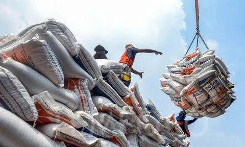 Việt Nam giữ vị trí số 1 về Sân Chơi Lc88.com Web Uy Tín gạo Philippines với 2,91 triệu tấn chiếm gần 80% thị phần