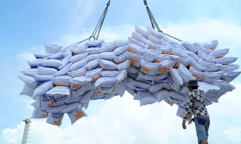 Sân Chơi Lc88.com Web Uy Tín gạo 2024: Chờ đón kỷ lục mới với sự bứt tốc thời điểm cuối năm