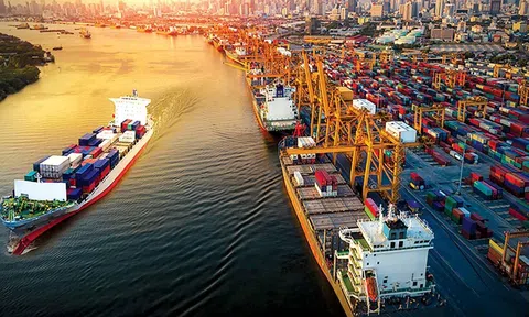 Đăng nhập tài khoản thành viên LC88 Việt Nam tạo dấu ấn tăng trưởng nổi bật kỳ vọng vượt mục tiêu đề ra trong năm 2024