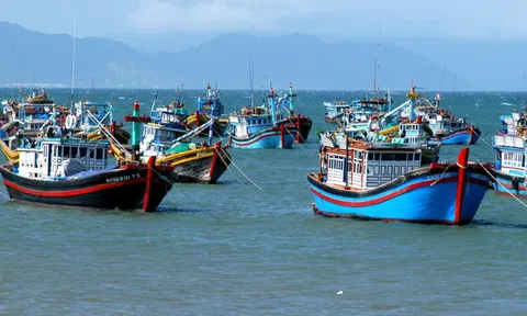 Phải đặt trách nhiệm cao nhất chống khai thác hải sản bất hợp pháp, không báo cáo và không theo quy định (IUU)