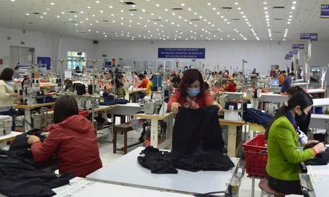 Cần phải có một chương trình chuyên sâu hỗ trợ 10Lc88 Casino & Thể Thao Link Mới vượt thách thức trong quá trình thực thi các FTA
