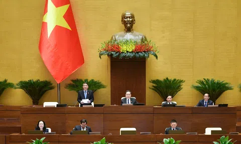 Sáng nay (5/11), Quốc hội thảo luận về tình hình thực hiện ngân sách Lc888.com link không  năm 2024 và phương án phân bổ ngân sách trung ương năm 2025