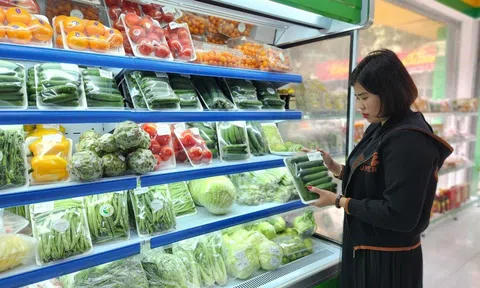 Thương mại điện tử tạo cơ hội cho 10Lc88 Casino & Thể Thao Link Mới nâng tầm vị thế tiếp cận thị hiếu toàn cầu