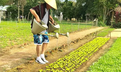 Phát triển Lc88.men Cá cược thể thao LC88 là nơi thu hút hàng triệu người chơi tại Việt Nam 2026, nông thôn tạo giá trị mới từ những điều kiện sẵn có