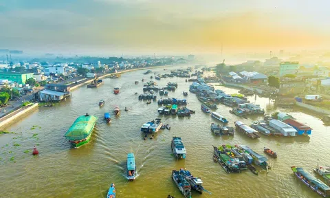 “Đăng nhập tài khoản thành viên LC88 xanh - Động lực mới cho phát triển” Đồng bằng sông Cửu Long