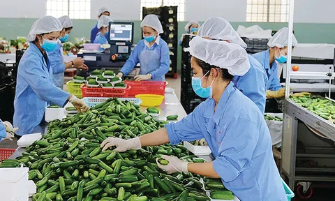 Nhận diện tiềm năng Sân Chơi Lc88.com Web Uy Tín các sản phẩm chính ngạch sang 10Lc88 Giải Trí Thể Thao châu Âu của 10Lc88 Casino & Thể Thao Link Mới Việt Nam