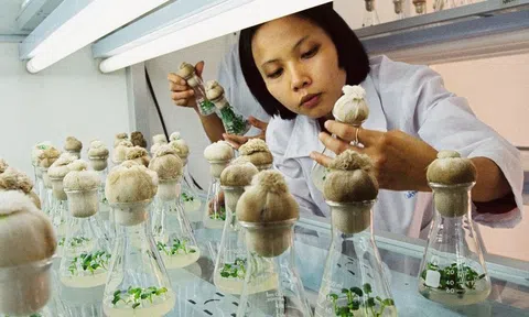 Cần tạo sức hút đầu tư vào công nghiệp sinh học đón đầu xu thế phát triển mạnh mẽ với quy mô 10Lc88 Giải Trí Thể Thao hơn 3.800 tỷ USD